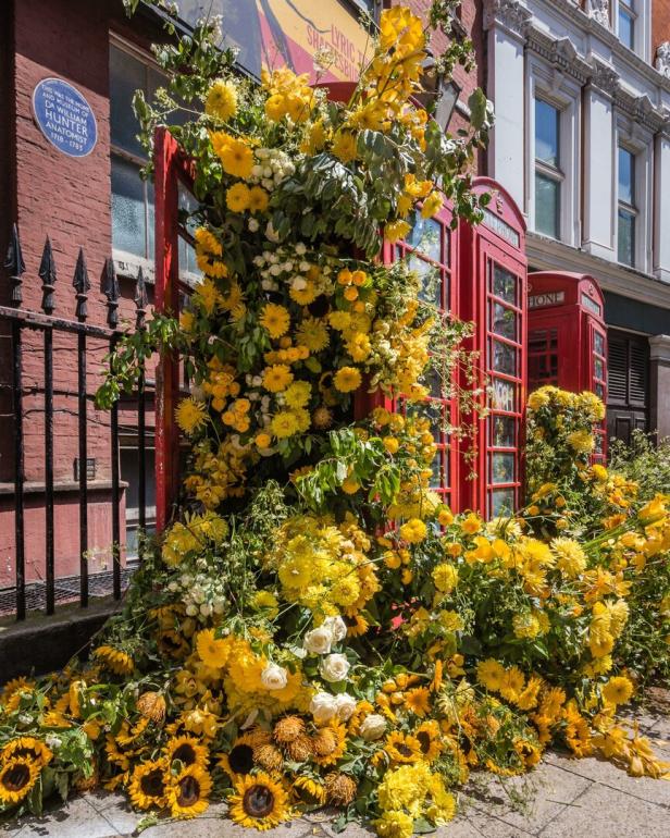 Eine rote Telefonzelle in London, geschmückt mit gelben und weißen Blumen.