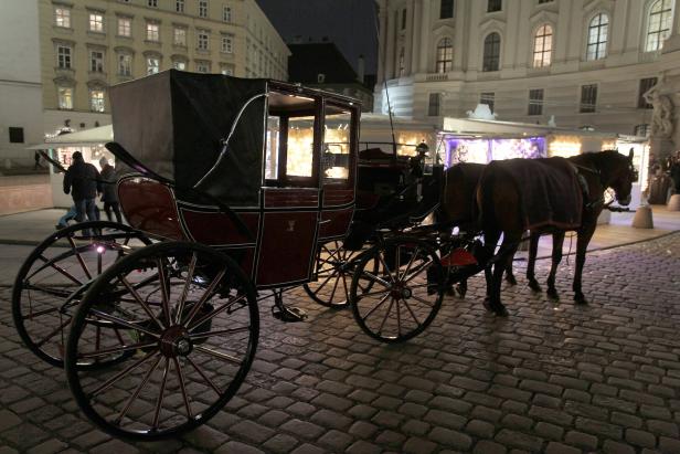 Eine Pferdekutsche steht nachts auf einem gepflasterten Platz in Wien.