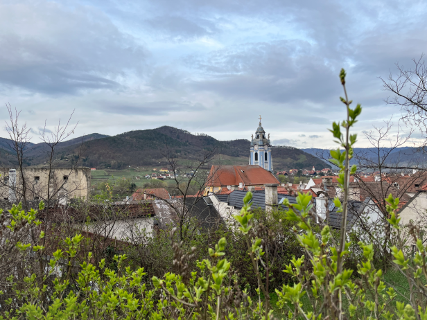 Der blaue Kirchturm von Dürnstein vor hügeliger Landschaft.