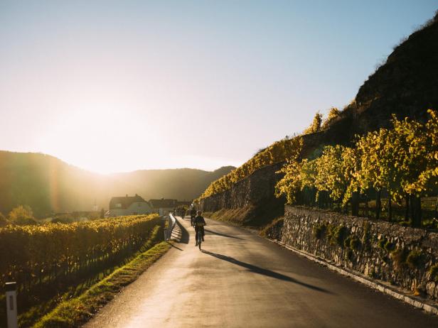 Die besten Radtouren in Niederösterreich: Geheimtipps von Locals