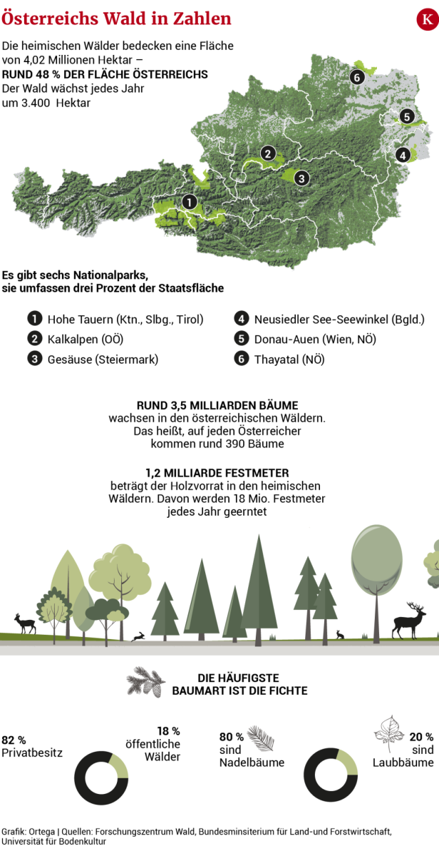 Immer mehr Stadtbewohner kaufen sich einen Wald