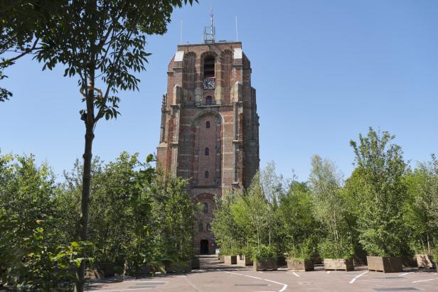 Der baksteinerne Martiniturm in Groningen, umgeben von Bäumen.