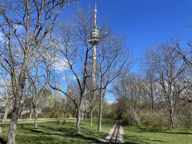 Vom Donaupark zum Kurpark Oberlaa: Flower Power für Wien