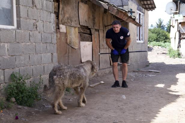 In Uzhgorod, Ukraine, betreute das mobile Klinikteam 112 Tiere in 10 Tagen