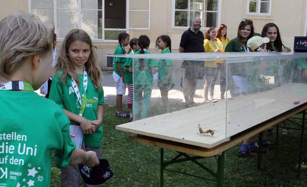 Eine Gruppe Kinder steht um einen Tisch mit einer durchsichtigen Abdeckung.