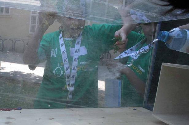 Kinder mit A1-Lanyards experimentieren mit Wasser und Pflanzen in einer Box.