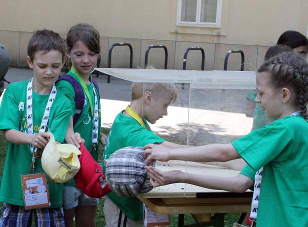Eine Gruppe Kinder in grünen T-Shirts experimentiert mit Gegenständen in einer transparenten Box.