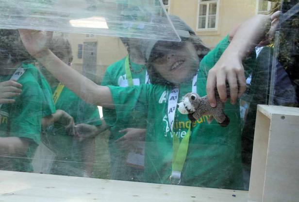 Ein Kind mit einem Stofftier hinter einer Glasscheibe, mit anderen Kindern im Hintergrund.