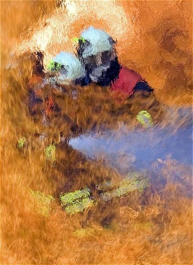 Imposante Siegerfotos bei den PR-Bild Awards