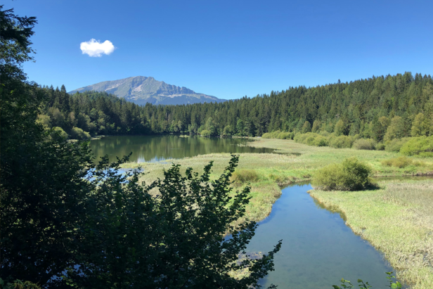 Der Erlaufsee in Mitterbach, Österreich, an einem sonnigen Tag.