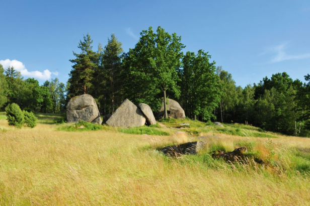 Die Blockheide ist ein Naturpark mit großen Granitblöcken und Wiesen.