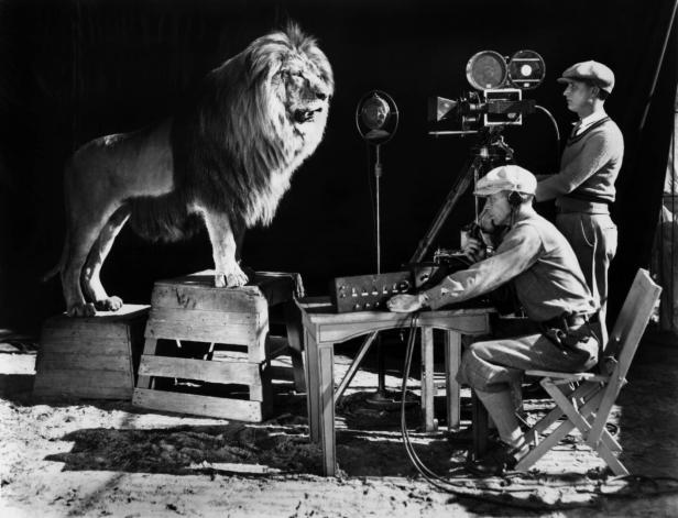 Ein Löwe steht auf einem Podest. Zwei Filmstudio-Mitarbeiter filmen ihn mit einer Kamera und nehmen sein Brüllen mit einem Mikrofon auf.