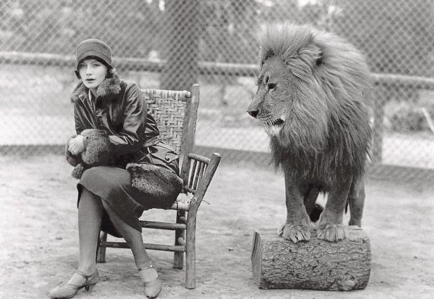 Greta Garbo sitzt auf einem Sessel im Raubtiergehege und dreht sich ängstlich zur Seite, weil der MGM-Löwe neben ihr auf einem Baumstamm steht.