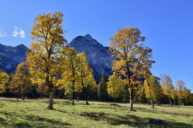 Zauberhafter Frühling im Naturpark Karwendel 