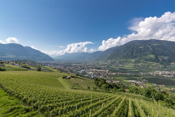 Frühlingsstimmung in Tirol