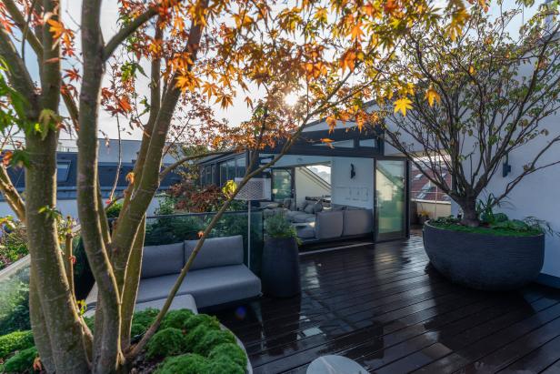 Ein moderner Dachgarten mit Bäumen, Pflanzen und grauen Sofas.