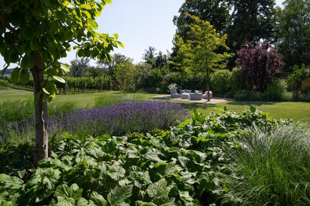 Ein gepflegter Garten mit Lavendel, Ziergräsern und einer Sitzgruppe im Hintergrund.