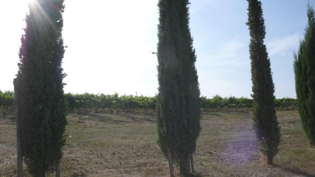 Wohnen, Essen und Staunen im Chianti