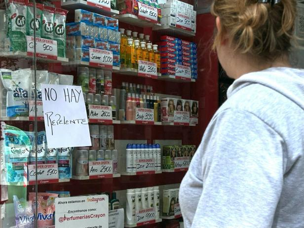 Dengue-Welle in Argentinien: Milei lässt das "den Markt regeln"