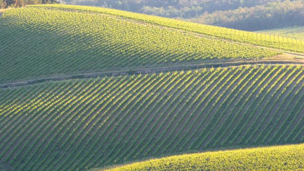 Wohnen, Essen und Staunen im Chianti