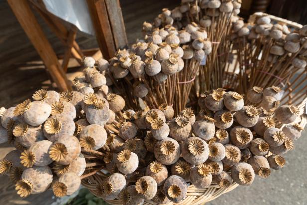 Mohn als Superfood aus dem Waldviertel 