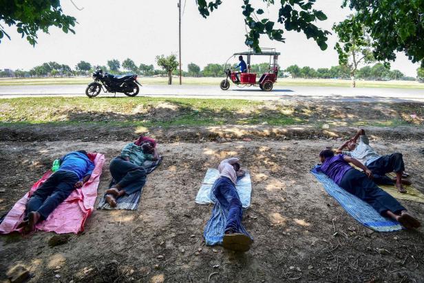 Indien sucht verzweifelt Schatten: Hitzewelle sorgt für heiße Wahl