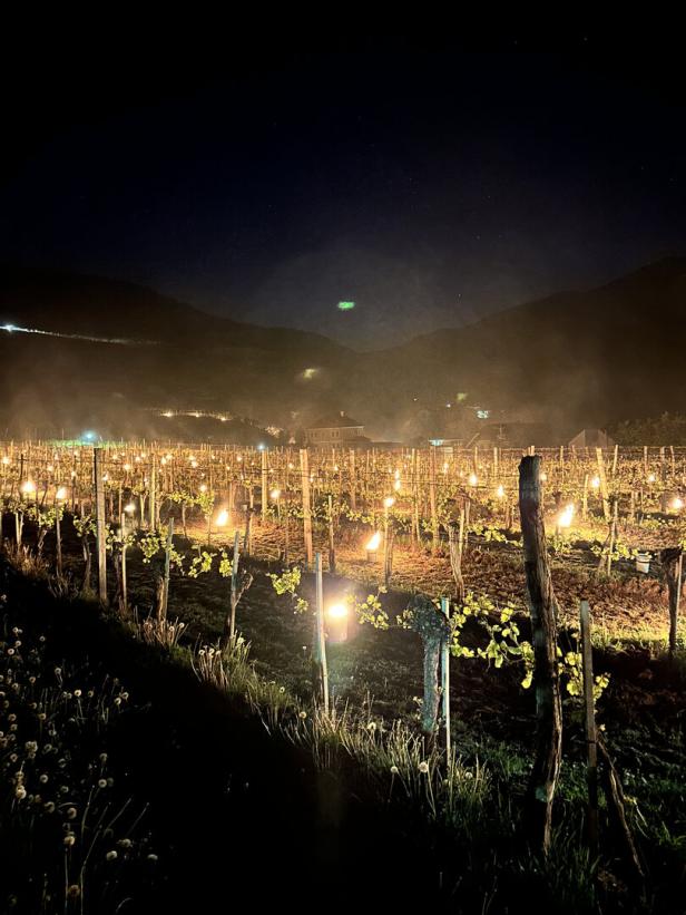 Loderndes Feuer in der Wachau: Warum Winzer nachts die Kerzen anzünden