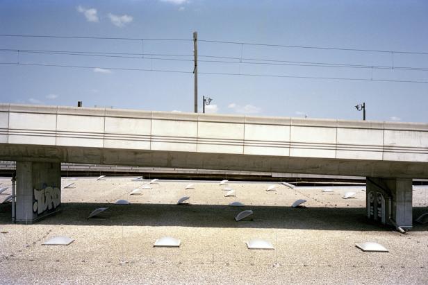 Hundstage im Wiener Beton