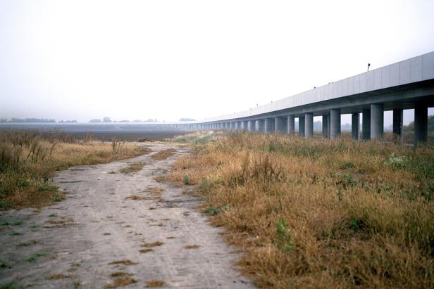 Hundstage im Wiener Beton