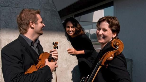 19 Latin Grammys für Calle 13