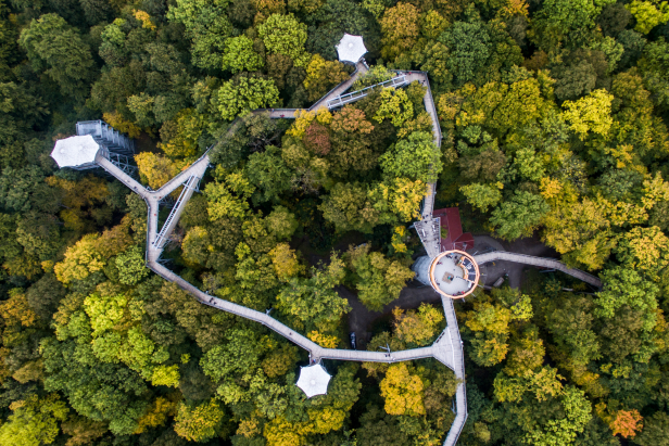 Baumkronenpfad im Nationalpark Hainich.