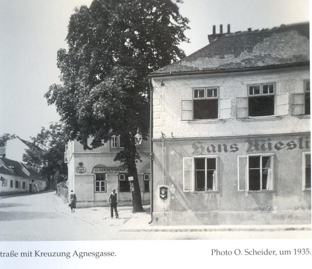 Die schöne Agnes in Sievering: Bauen in der Schutzzone