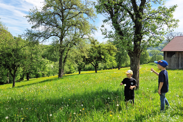 Zwei Jungen stehen auf einer Wiese voller Blumen und pusten Pusteblumen.