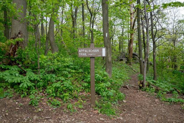 Ein Wegweiser markiert den Appalachian Trail in einem grünen Wald.