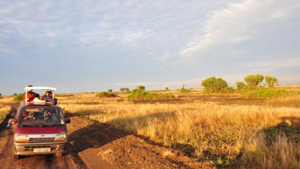 Afrika: Safari à la carte