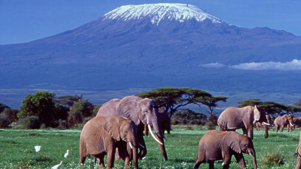 Afrika: Safari à la carte