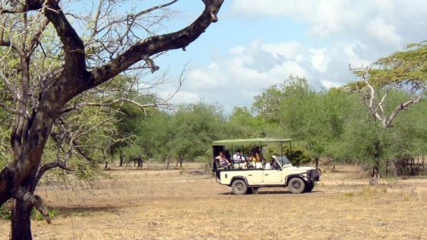 Afrika: Safari à la carte