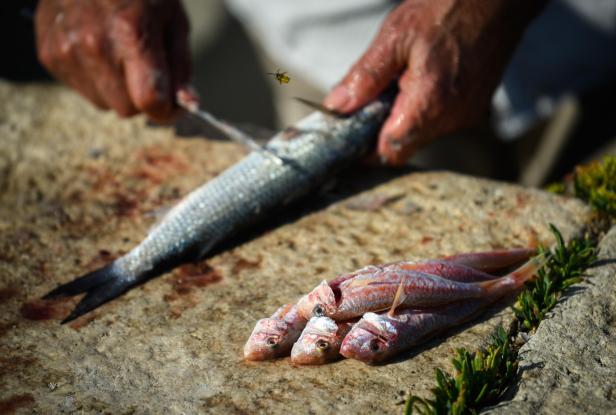 Ein Mann filetiert einen Fisch auf einem Steinbrett, während eine Wespe umherfliegt.
