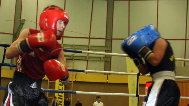 Kleine Boxer ganz groß