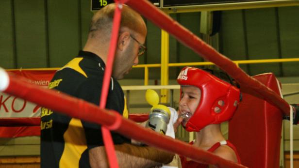 Kleine Boxer ganz groß