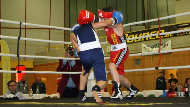 Kleine Boxer ganz groß