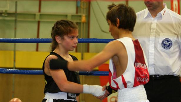 Kleine Boxer ganz groß