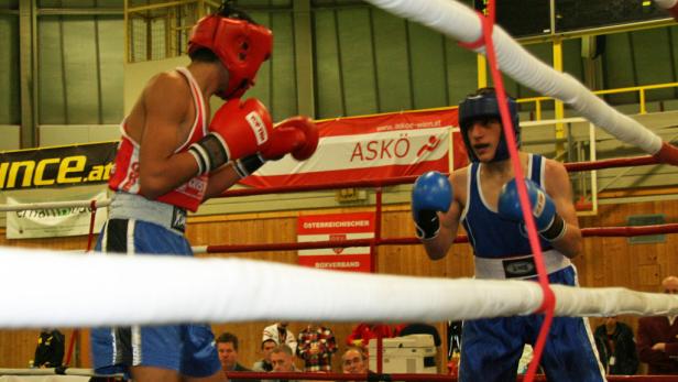 Kleine Boxer ganz groß