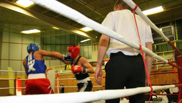 Kleine Boxer ganz groß