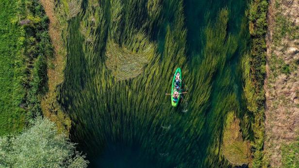 Ein grünes Kanu fährt auf einem Fluss mit dichter Vegetation im Wasser.