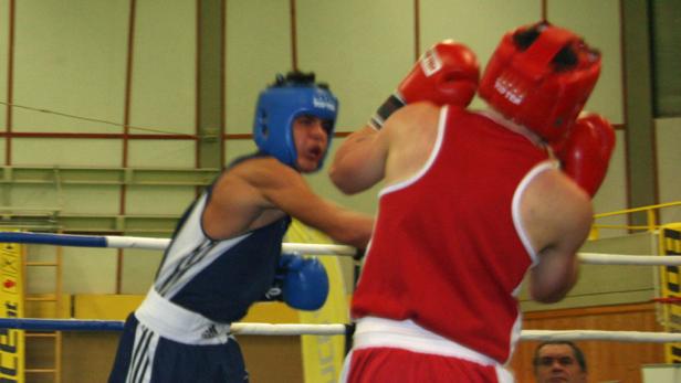 Kleine Boxer ganz groß