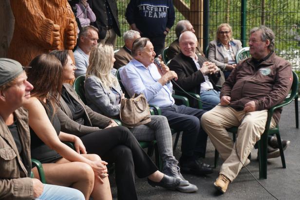 Kragenbär und Baulöwe als neue Attraktionen im Zoo der weißen Tiger