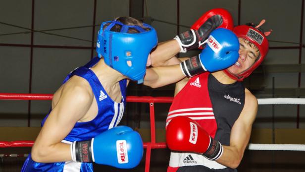 Kleine Boxer ganz groß