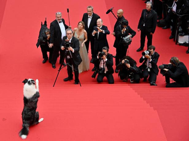 77. Filmfestspiele in Cannes mit Ehrenpalme für Meryl Streep eröffnet