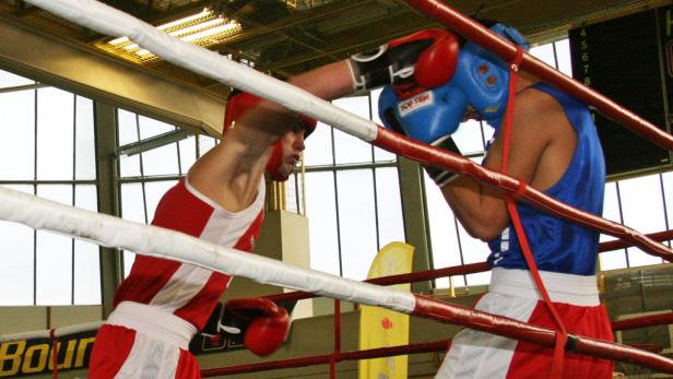 Kleine Boxer ganz groß